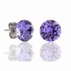 Riccardo Ferducci_RFR30620 000_Ohrringe Canova_Edelstahl_tanzanite_Damen_1